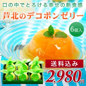 「熊本県芦北のデコポンゼリー」 贅沢フルーツゼリーギフトが6個入りで特価販売中 「熊本県芦北のデコポンゼリー」 贅沢フルーツゼリーギフトが6個入りで特価販売中